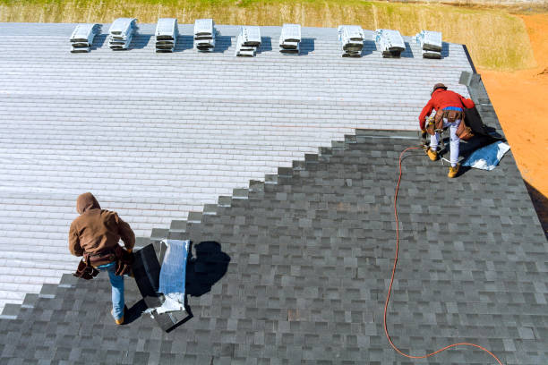 Gutter Installation and Roofing in Pine Level, AL
