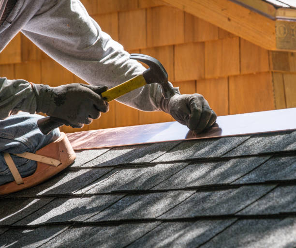 Best Commercial Roof Installation  in Pine Level, AL